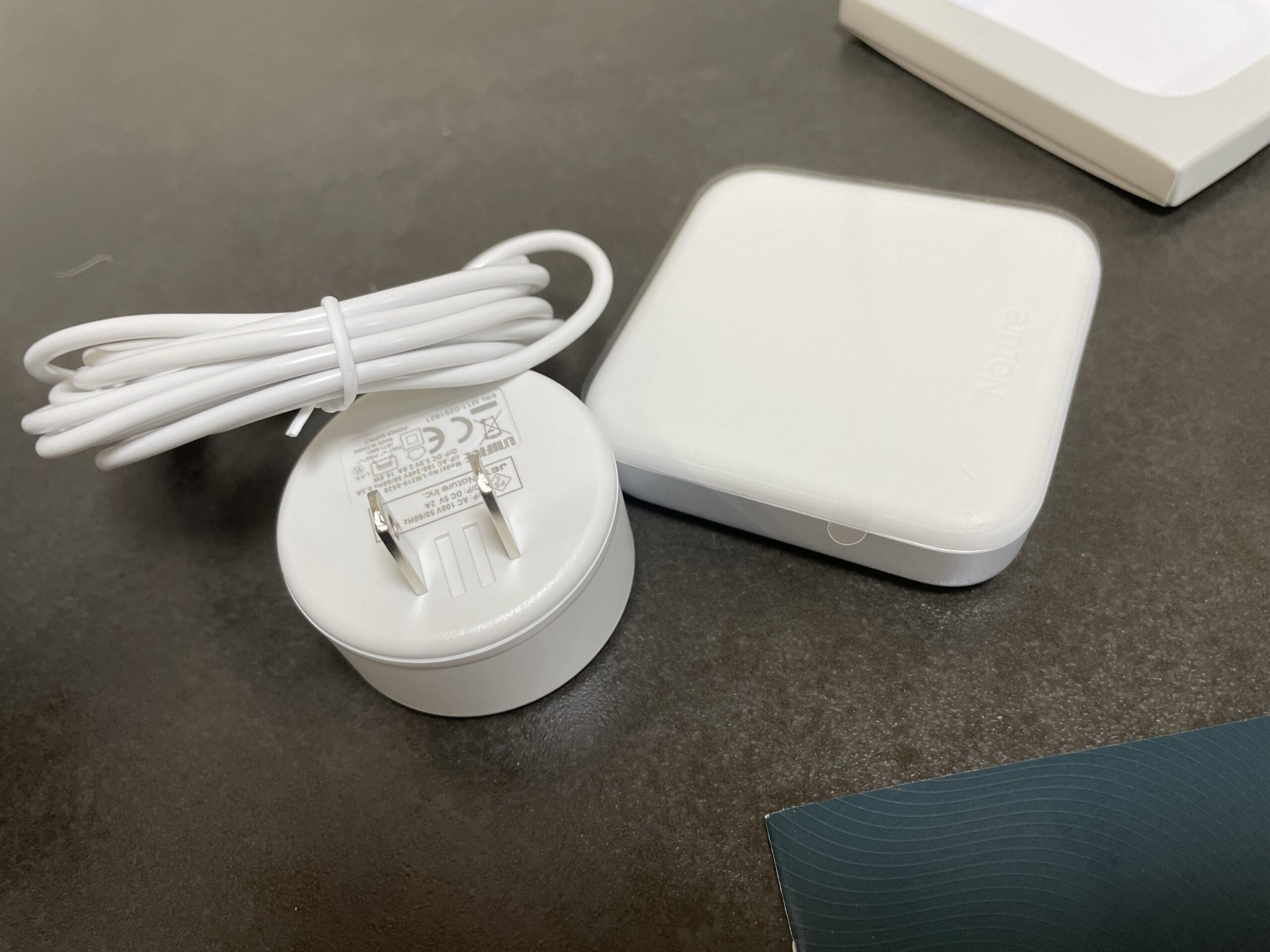 ネイチャーれも