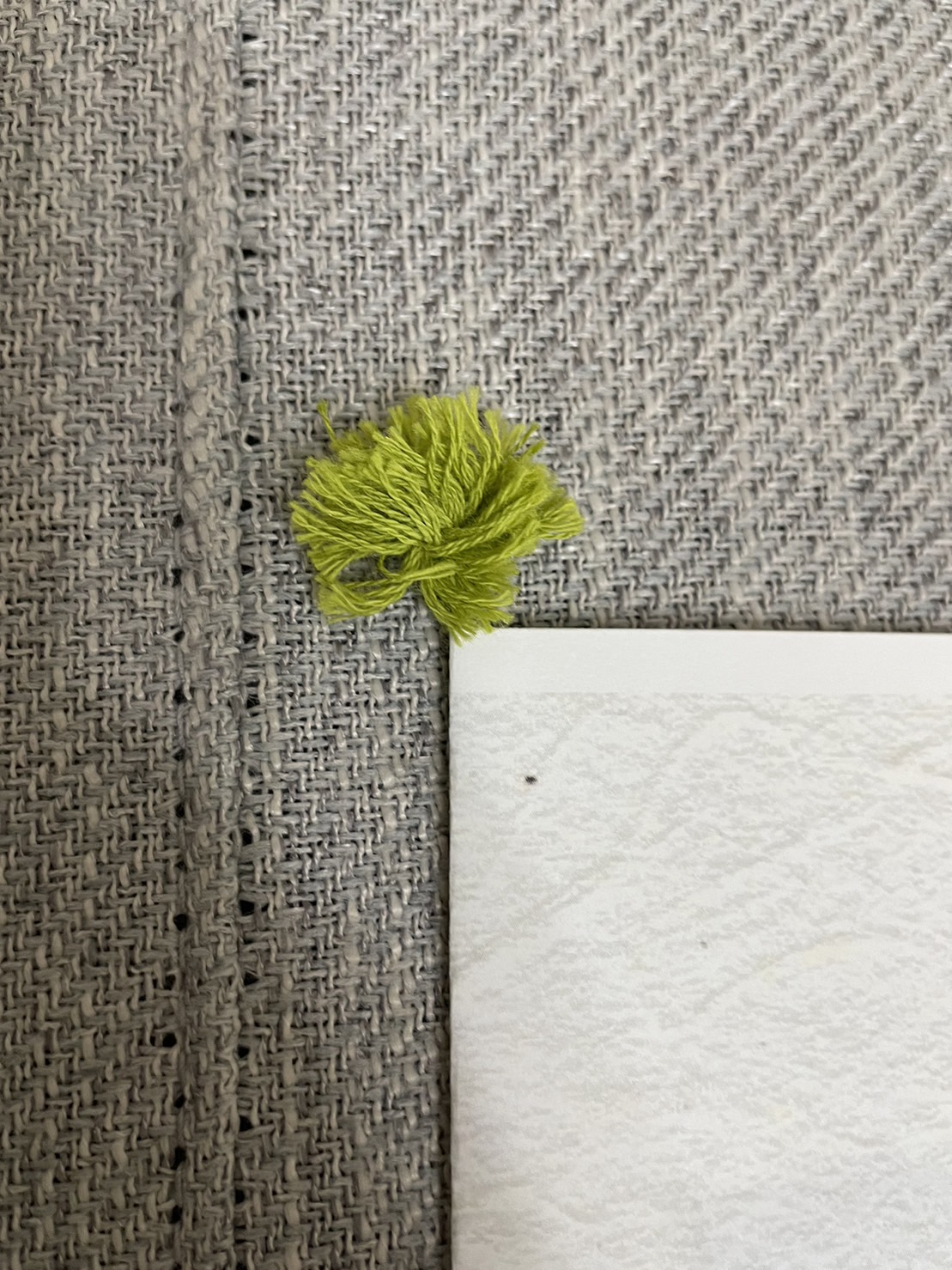 顔合わせのしおり_ポンポン